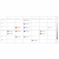 POC Fovea Ski Goggles Partly Sunny Ivory Lens - Selentine White Frame -ThermaGear poc fovea ski goggles partly sunny ivory lens selentine white frame 12