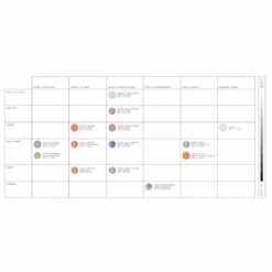 POC Fovea Ski Goggles Partly Sunny Orange Lens - Uranium Black Frame -ThermaGear poc fovea ski goggles partly sunny orange lens uranium black frame 12